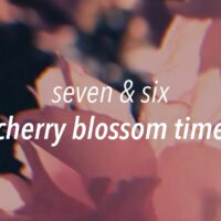 seven & six - Cherry blossom time