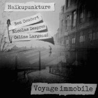 Voyage Immobile