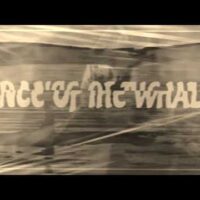 BEN AND THE TRINITY – dance of the whales