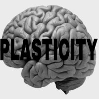 Plasticity